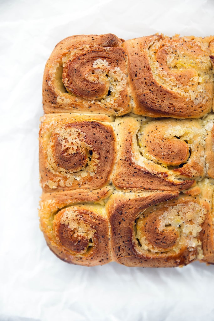 Sticky-sweet Lemon Poppyseed Sticky Buns with a lemon cream cheese frosting