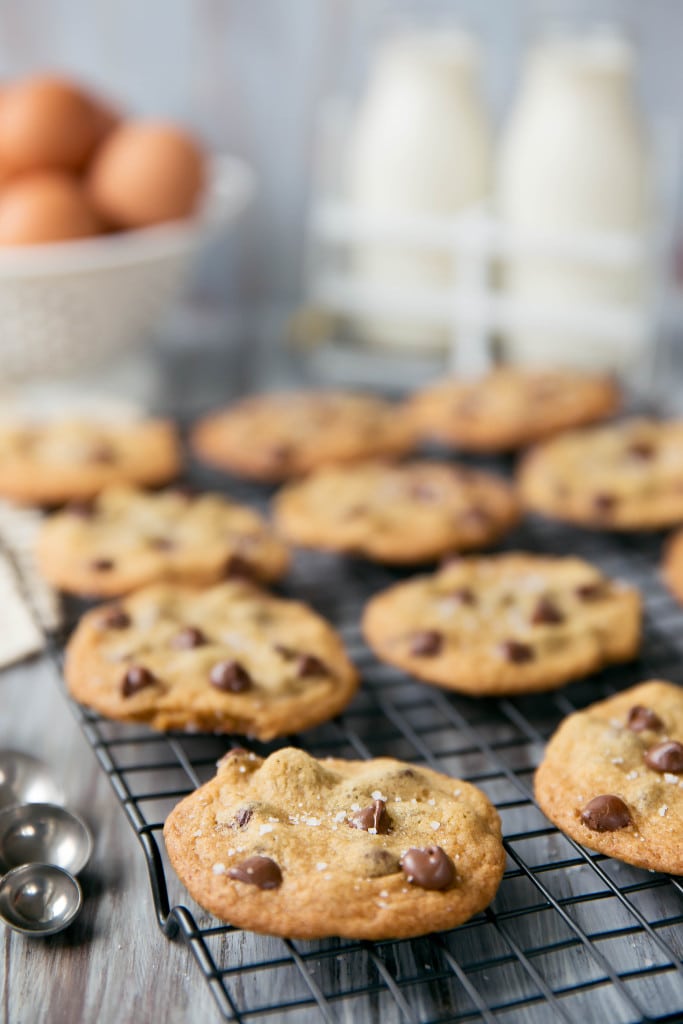 The best chocolate chip cookies I've ever had. Period.