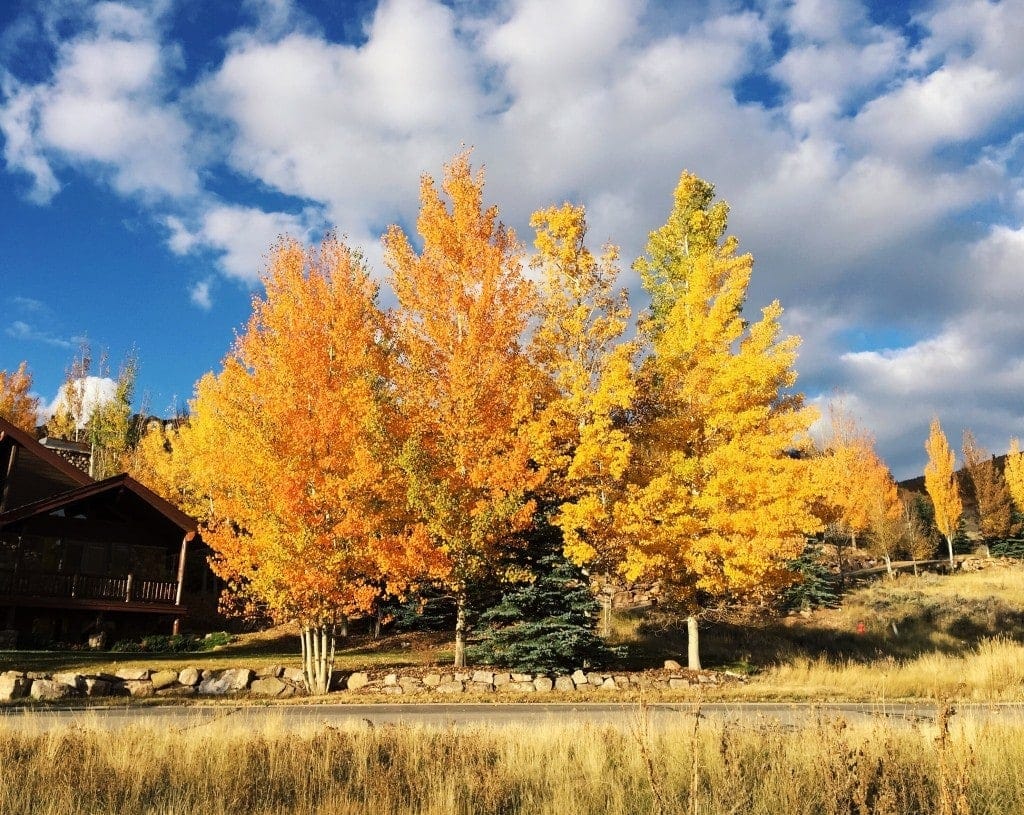 Better Blog Retreat in Deer Valley, Utah