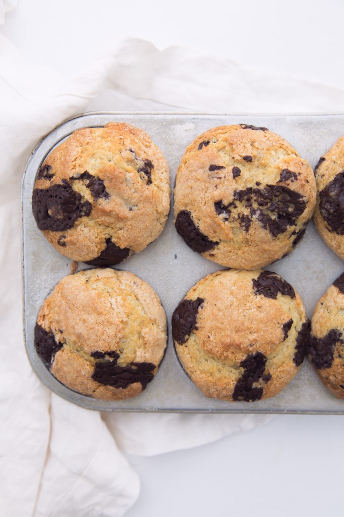 chocolate chunk muffins
