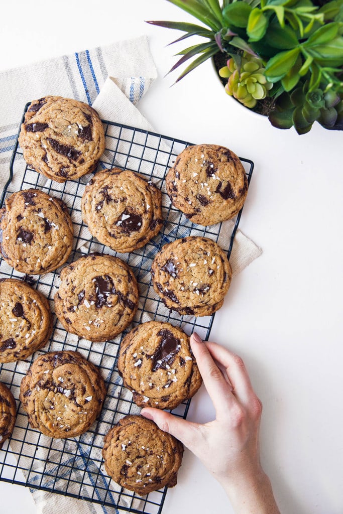 hand grabbing an olive oil cookie