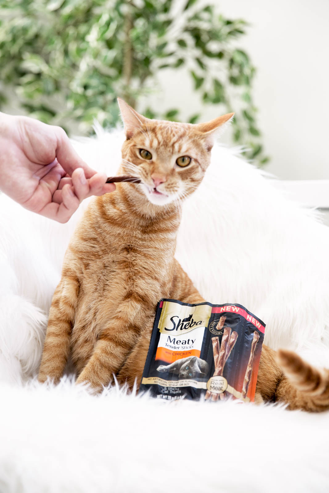 Max's New Fave Food!