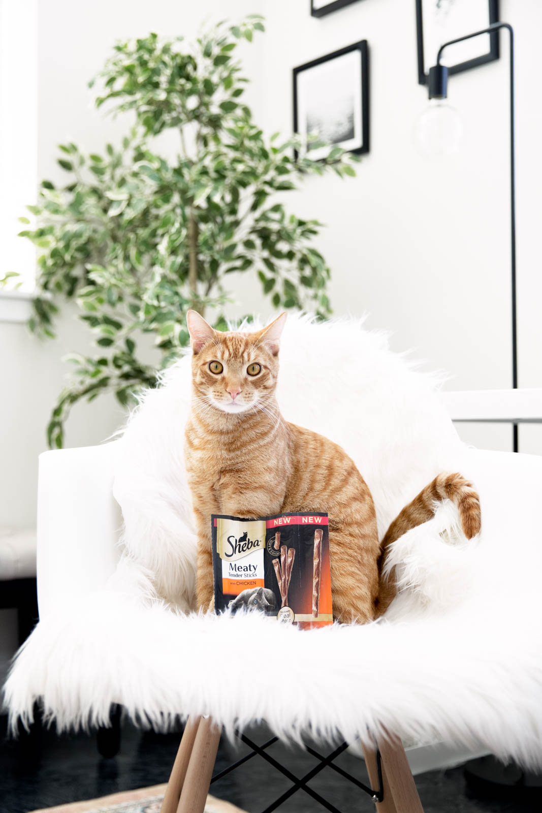 Max's New Fave Food!