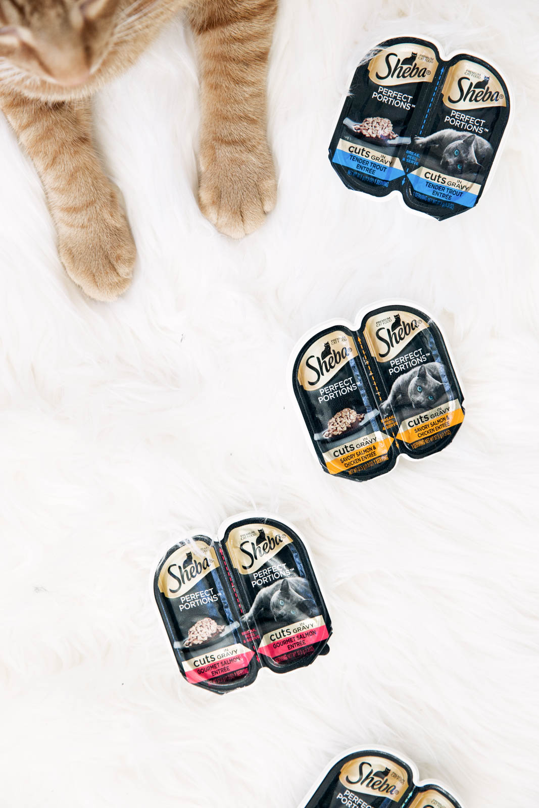 Max's New Fave Food!