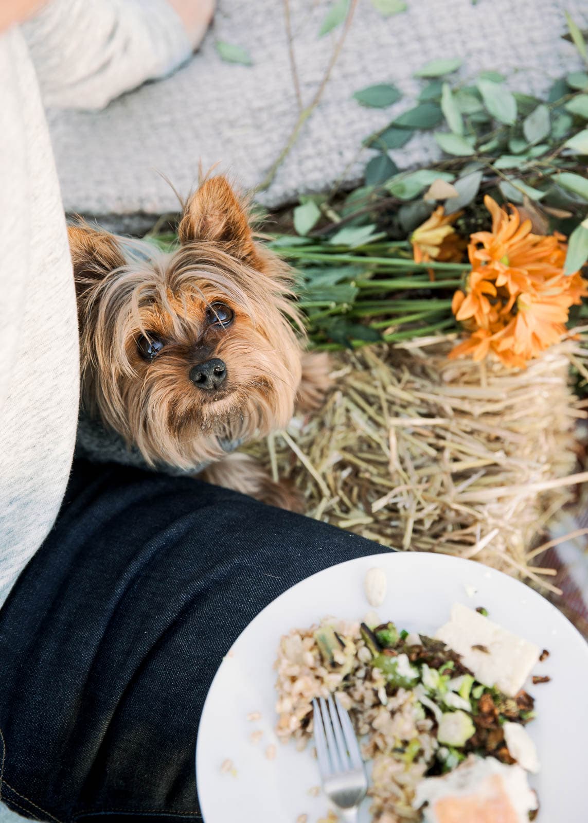 5 tips for hosting a Friendsgiving (with recipes!)