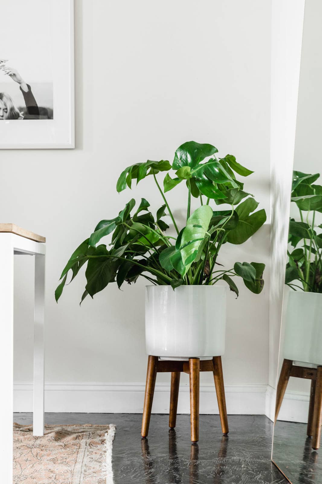 Designing Our Dining Room with Havenly