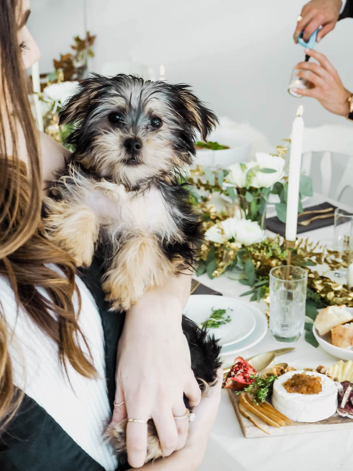 If you didn't Insta it, did it even happen? Here are my top tips for throwing an Instagram Worthy Dinner Party that will have your guests snapping errything