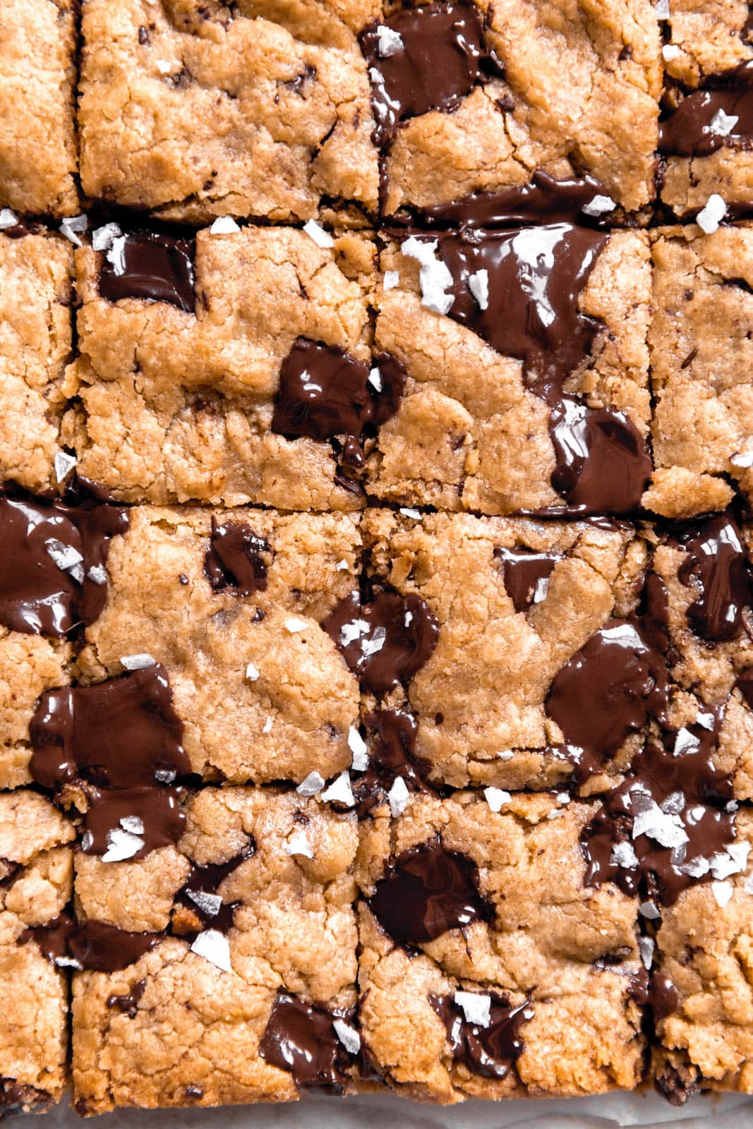 These Chocolate Chip Tahini blondies are what gooey, buttery, chocolatey dreams are made of it.