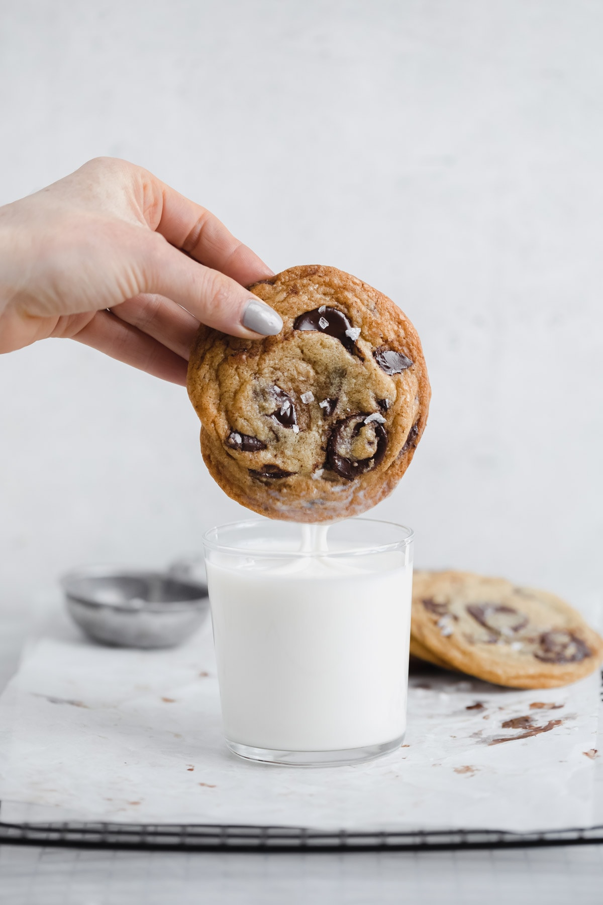 the best chocolate chip cookies recipe