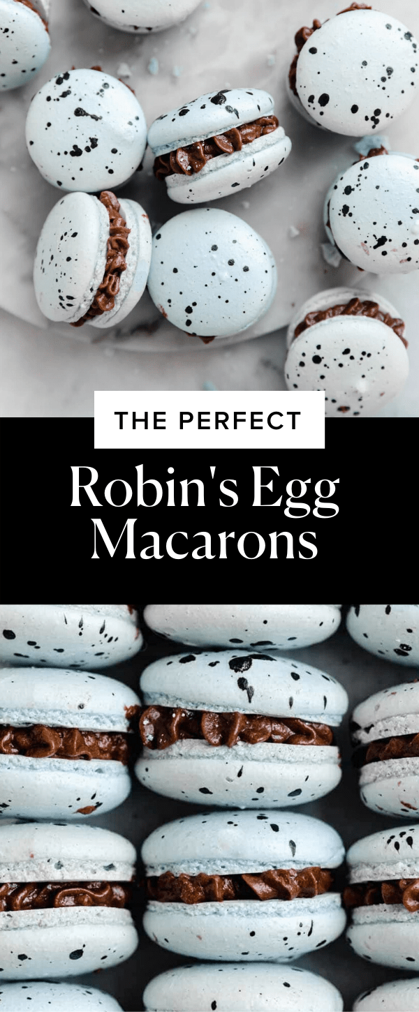 Robin's Egg Spring Macarons