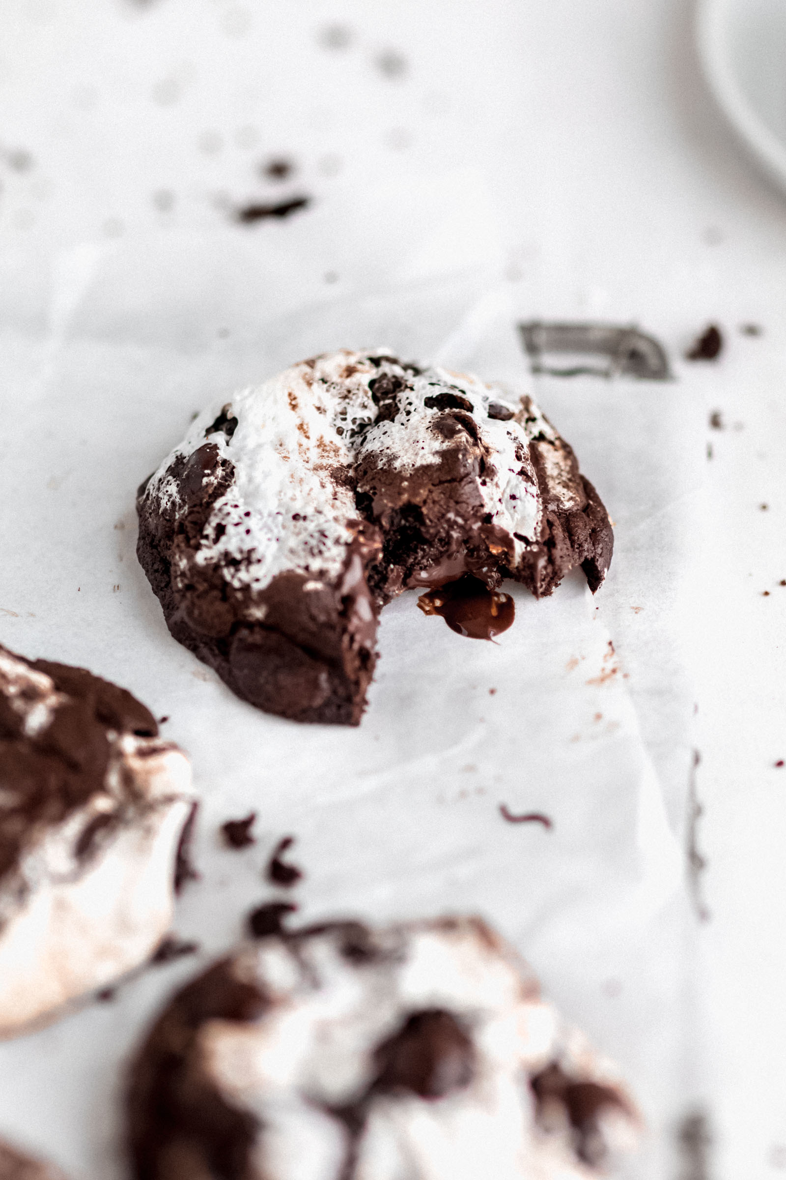 marshmallow chocolate cookie with a bite taken out of it