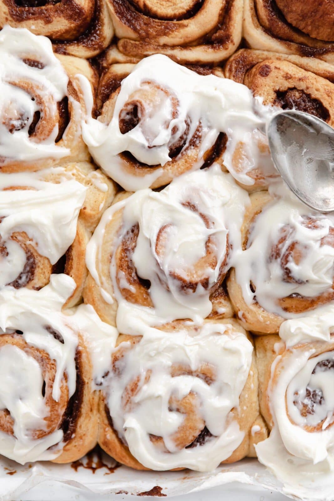 gingerbread cinnamon rolls aka the perfect holiday cinnamon rolls