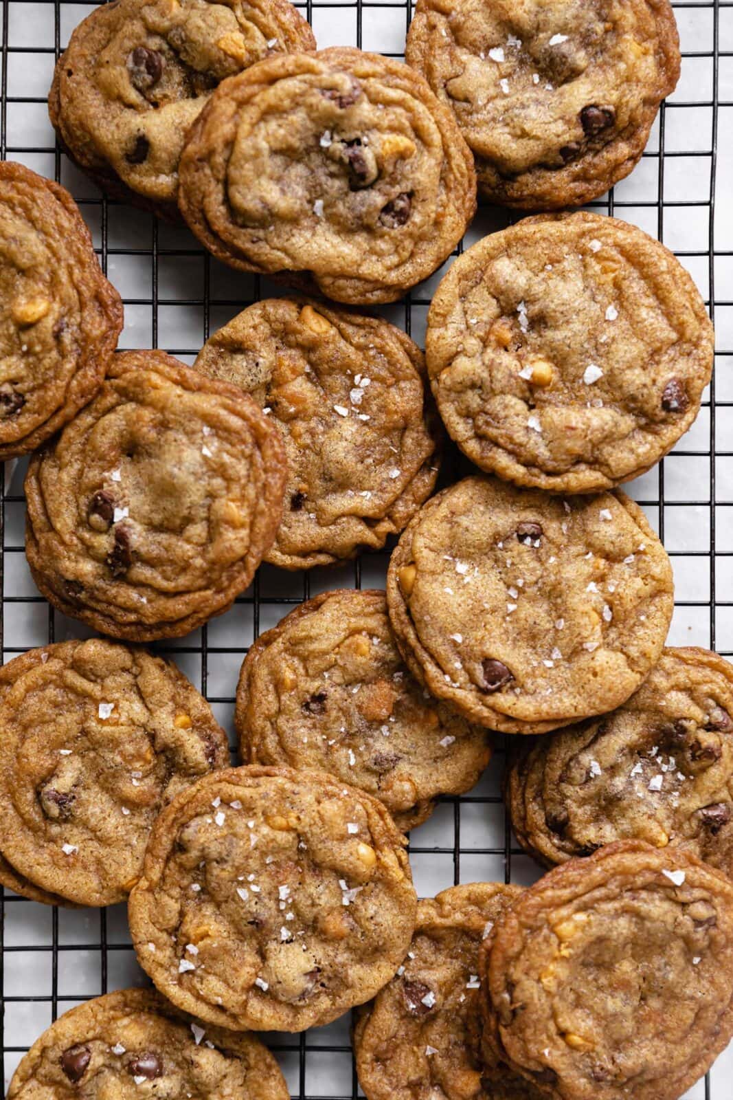 butterscotch chocolate chip cookies on a cookie sheet