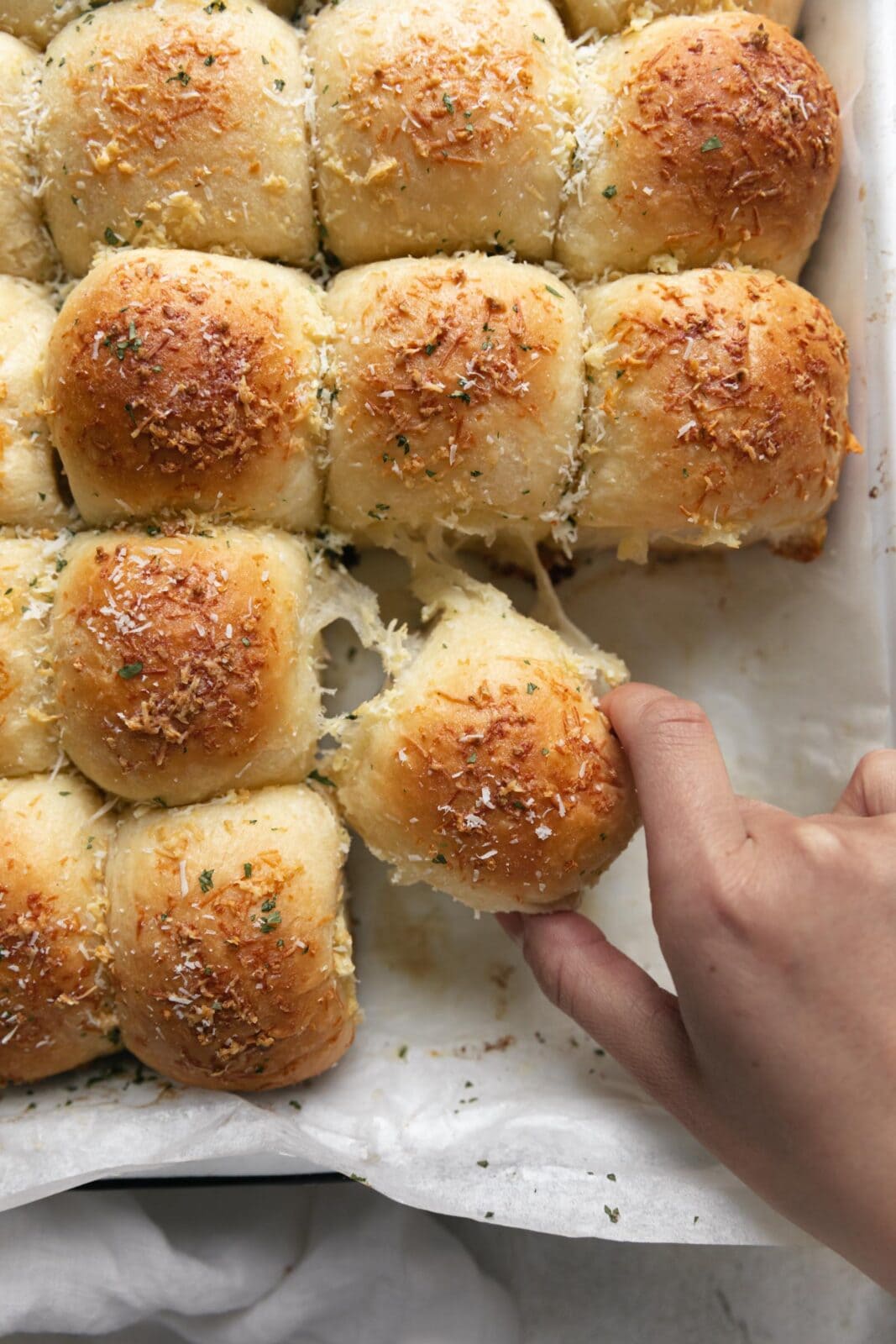 garlic parmesan dinner rolls