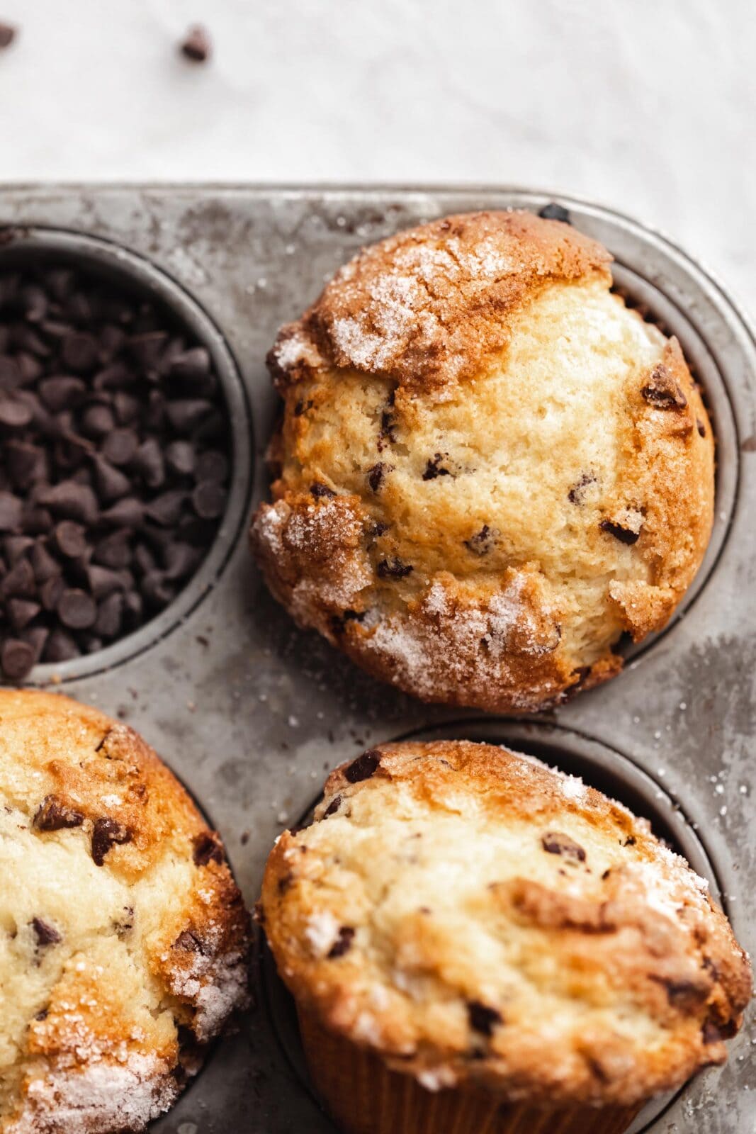 chocolate chip muffins