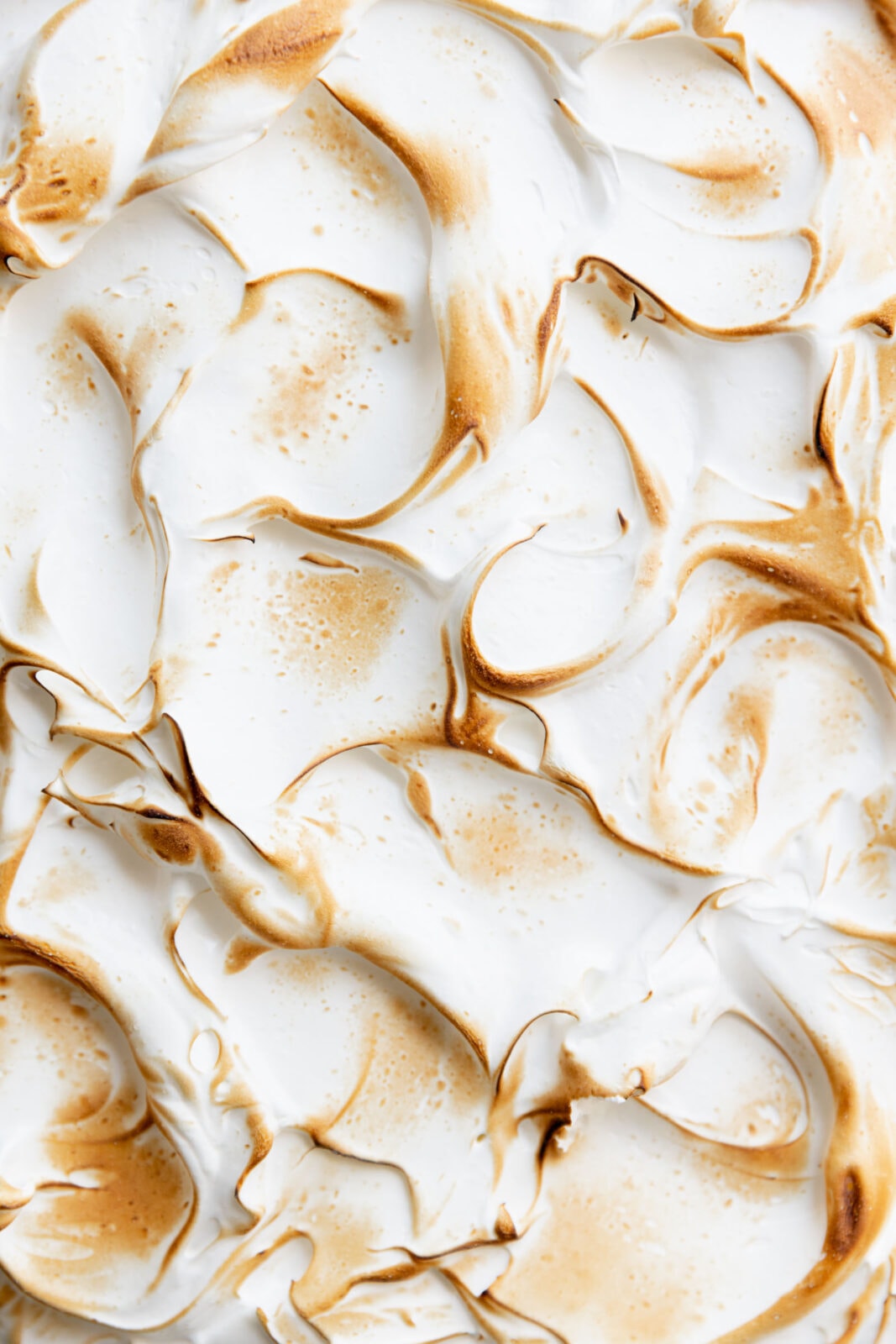 marshmallow pumpkin sheetcake