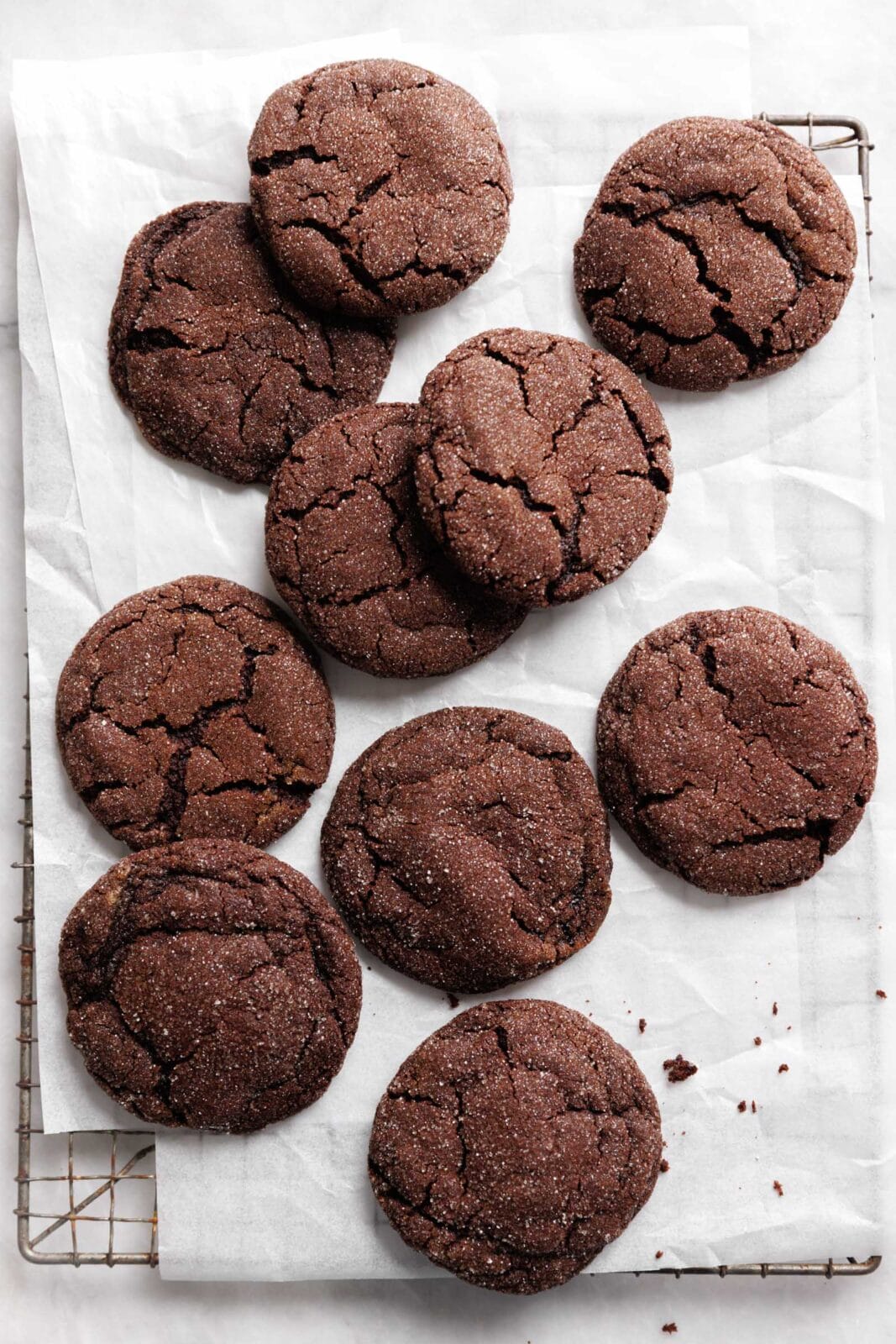 chocolate gingerbread cookies