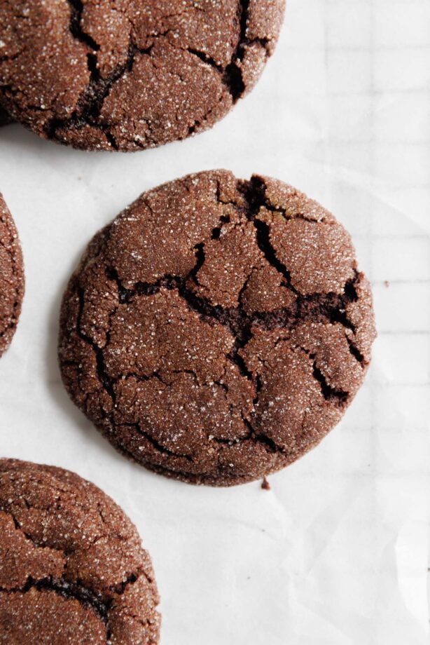 chocolate gingerbread cookies